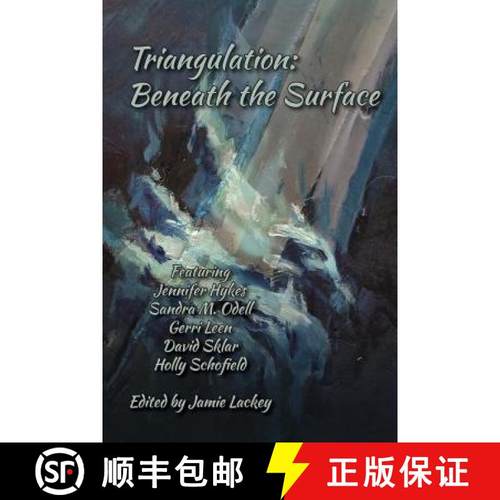 预订 Triangulation: Beneath the Surface [9780982860687]