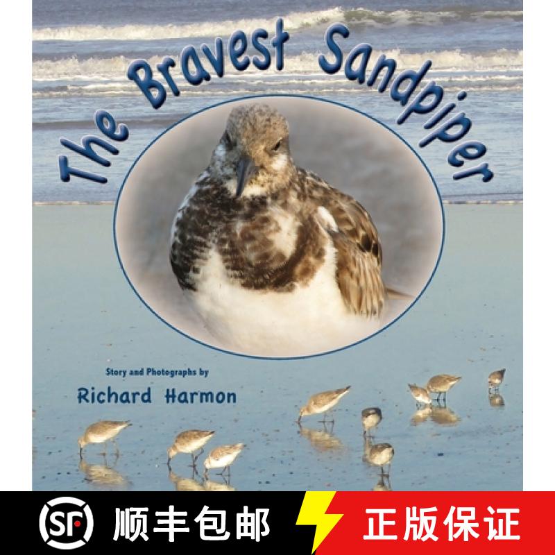 【3-4周达】The Bravest Sandpiper [9781737258100]