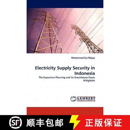预订 Electricity Supply Security in Indonesia [9783838329376]