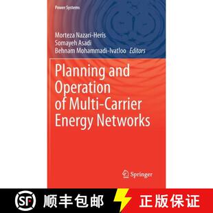 Energy 9783030600853 Planning Multi Operation 4周达 and Networks Carrier