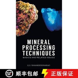 Basics 9789381239544 4周达 Issues Related and Techniques Processing Mineral