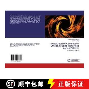 Preformed 9783330023628 Patterns Vortex Using Efficiency Combustion Exploration 预订
