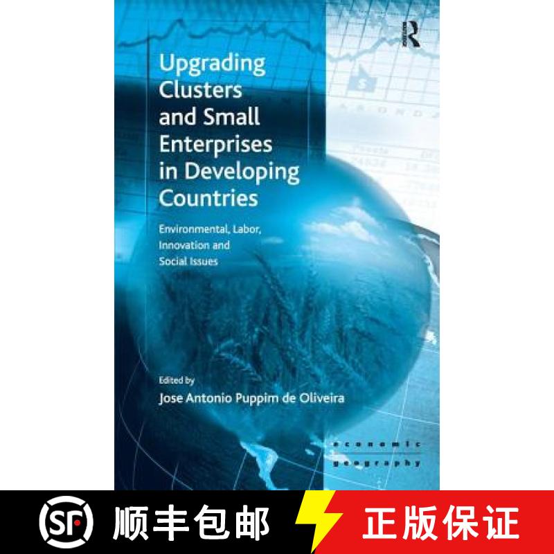 【3-4周达】Upgrading Clusters and Small Enterprises in Developing Countries [9780754672975]