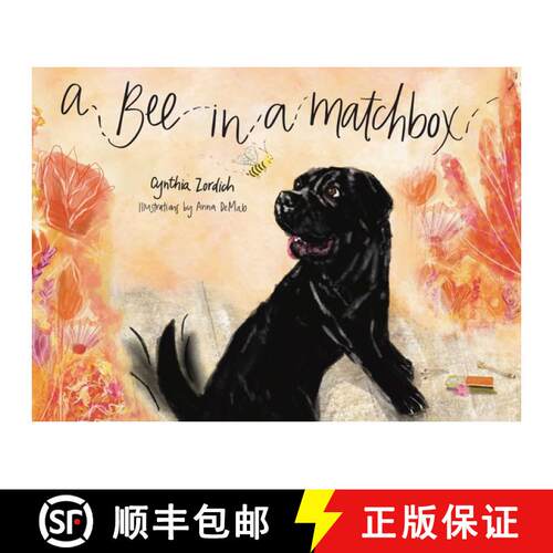 【3-4周达】精装 A Bee in a Matchbox [9781582709765]