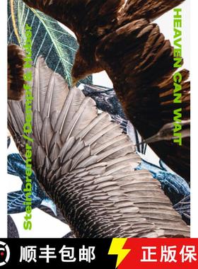 【3-4周达】Steinbrener/Dempf & Huber: Heaven Can Wait [9783903572287]