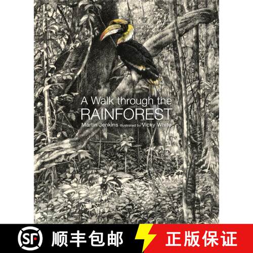 【3-4周达】精装 A Walk Through the Rain Forest [9781536211207]