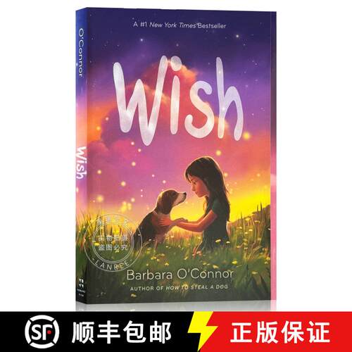 现货 愿望 Wish [9781250144058]