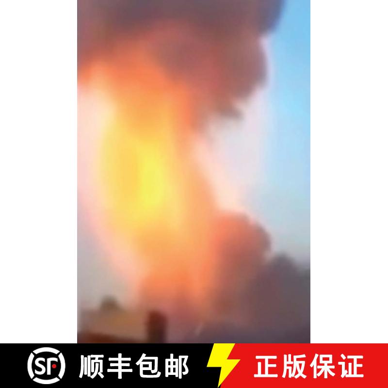 【3-4周达】Affect Me: Social Media Images in Art [9783959051903]