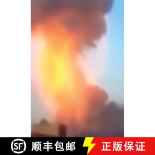 Media 9783959051903 4周达 Art Images Social Affect