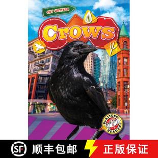 9798893044287 预订 Crows