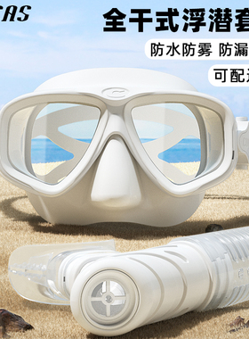 防雾潜水镜全干式呼吸管近视浮潜三宝套装潜水面罩成人浮潜装备