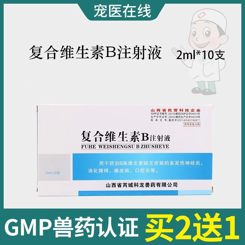 皮肤病促进猫口腔炎注射液