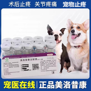 宠物狗狗止痛药美洛昔康注射液犬关节止疼针止疼药5ml