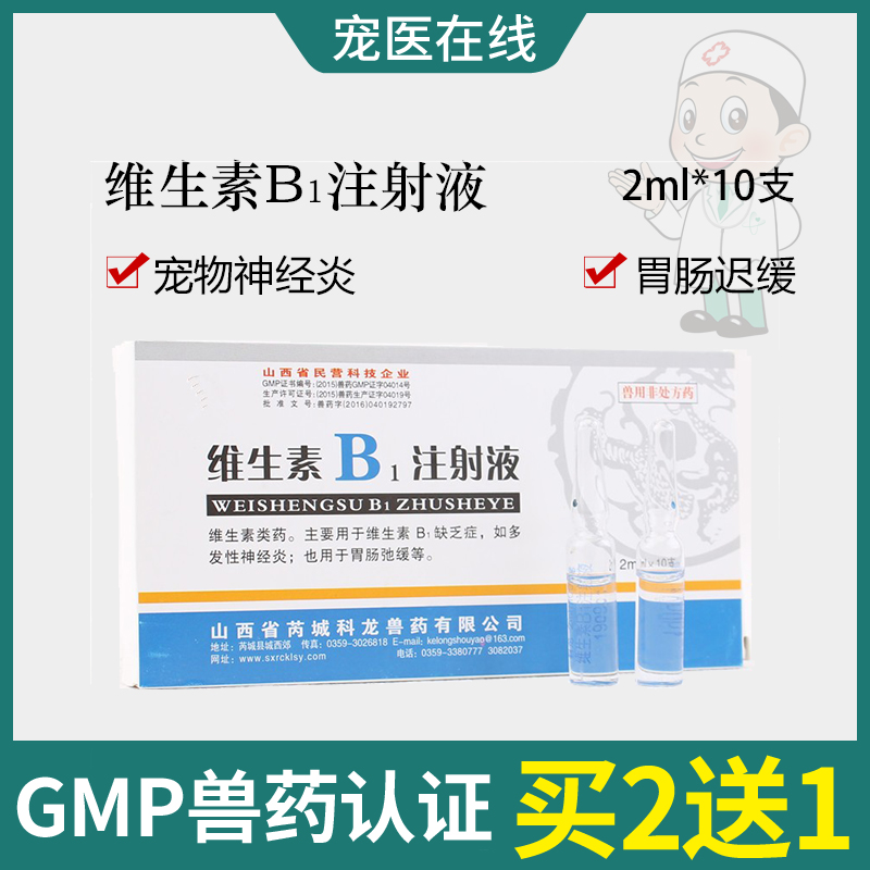 vb1神经炎胃肠迟缓消化不良狗狗