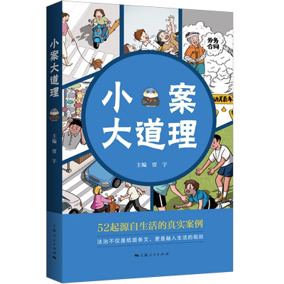 直发小案大道理上海人民出版社法律案情案例分析法律实务律师实务司法实务法律普及读物公民婚姻医疗民事刑事公司理论法学工具书