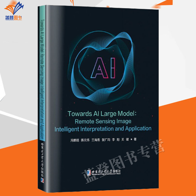 正版包邮面向AI大模型遥感影像智