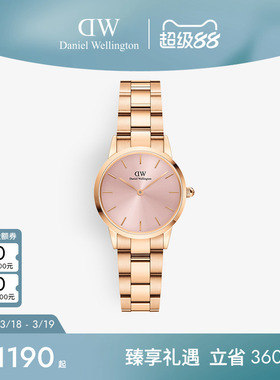 DW女士手表 ICONIC系列幻彩小精钢彩盘钢带女表28MM 轻奢小众礼物