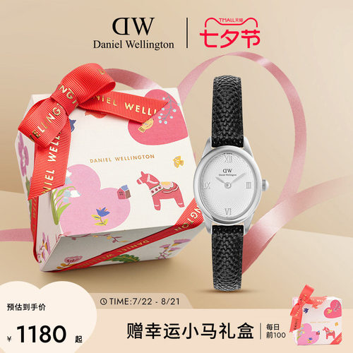DW椭圆表复古轻奢礼物皮带腕表