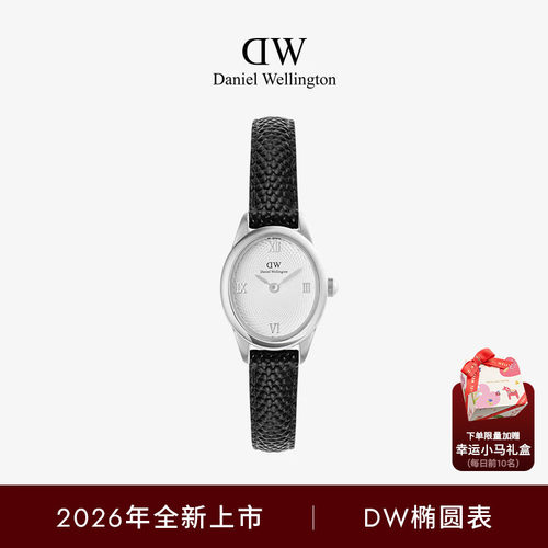 DW椭圆表复古轻奢礼物皮带腕表