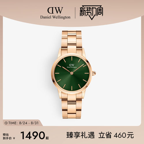 DW手表小精钢石英机芯男表