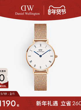 DW女士手表 PETITE系列小蓝针腕表轻奢小众石英女表小众设计感