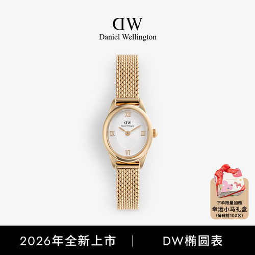 DW椭圆表女复古轻奢小众玫瑰金