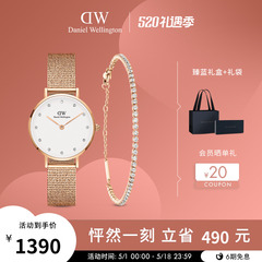 DW手表女 优雅流金表手链套装28mm  丹尼尔惠灵顿 新品