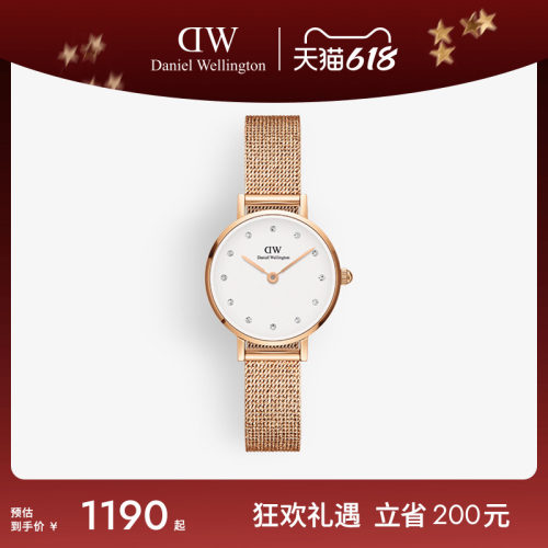 DW闪耀星辰流金表石英机芯女表