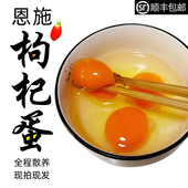 恩施枸杞鸡蛋农家正宗散养新鲜土鸡蛋小孩子学生早餐富硒蛋30枚装