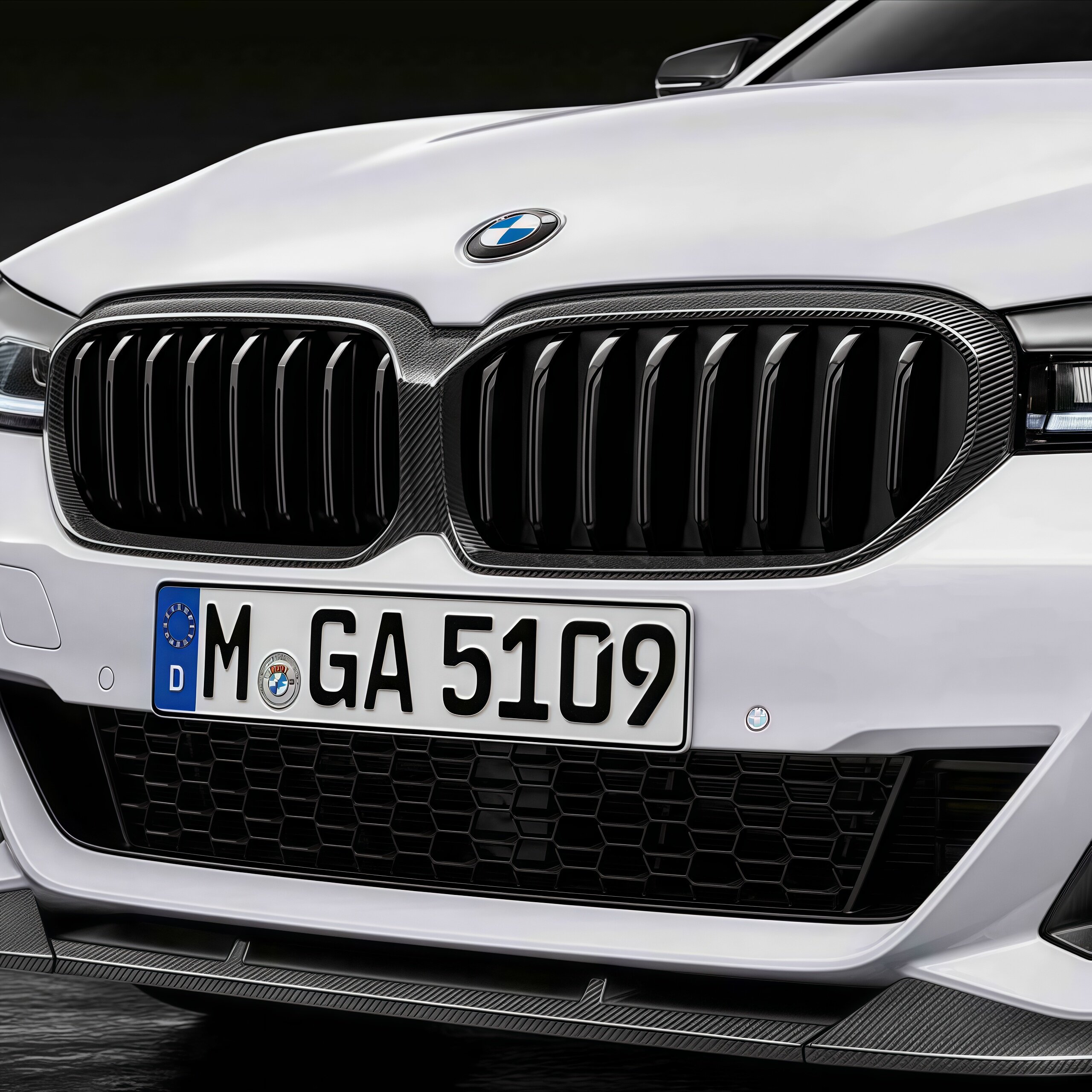 宝马BMW原厂5系G30G38碳纤维中网