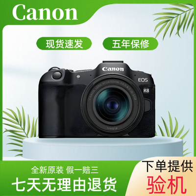 Canon/佳能eos R8全画幅专业微单相机24-50套机 R62高清R6二代
