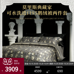 专柜同款 ESTEEM 宜庭莫里斯典藏家匈牙利95可水洗鹅绒子母被