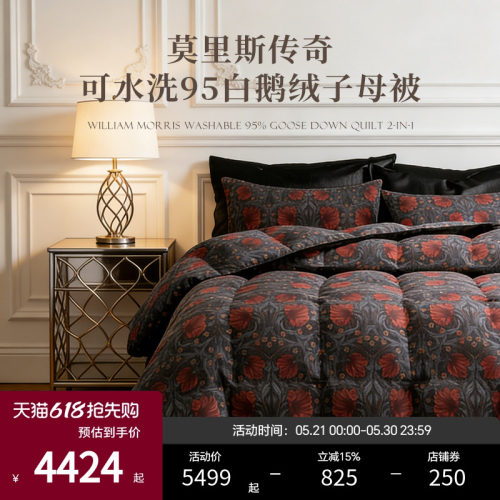 Esteem宜庭匈牙利白鹅绒羽绒被