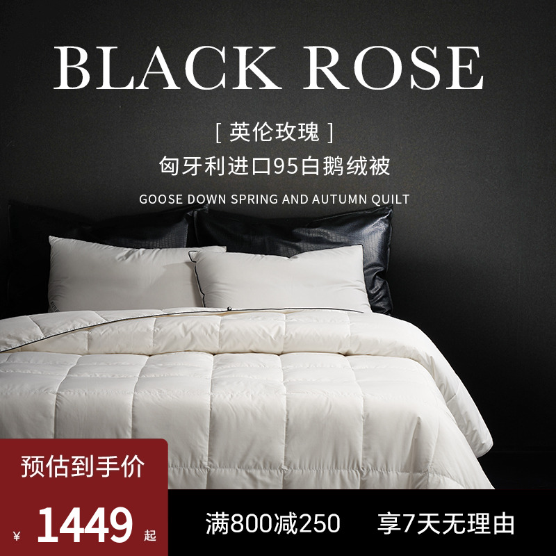 Esteem宜庭匈牙利95白鹅绒羽绒被