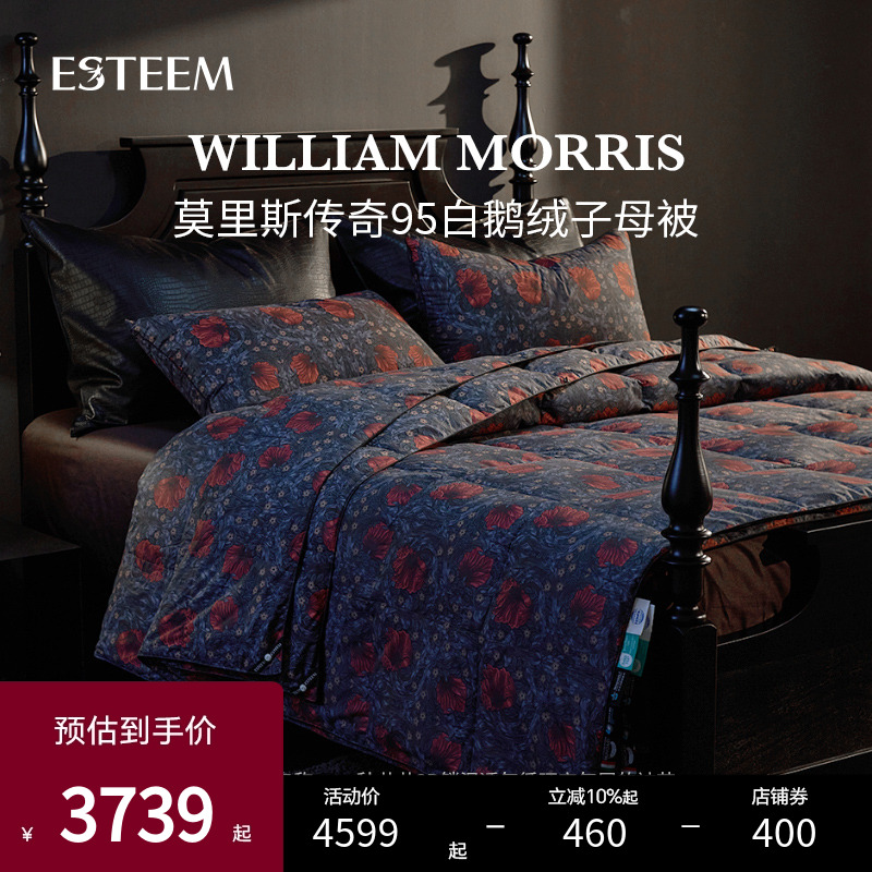 可水洗鵝絨被ESTEEM/宜庭