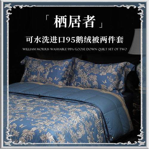 Esteem鹅绒被95白鹅绒被羽绒被