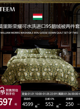 ESTEEM/宜庭莫里斯荣耀可水洗95鹅绒子母被二合一被【专柜同款】
