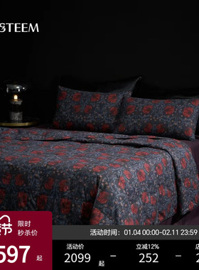 【限量秒杀】ESTEEM/宜庭莫里斯传奇匈牙利可水洗95鹅绒被夏被