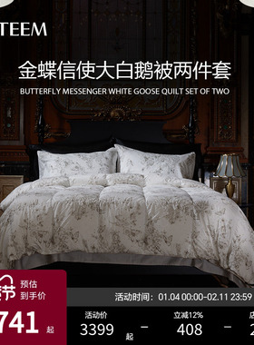 ESTEEM/宜庭金蝶信使绒丝子母被床上用品被子夏被【专柜同款】