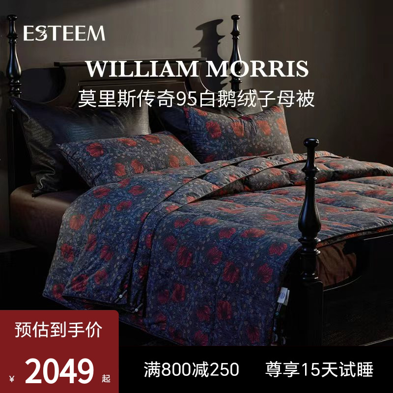 Esteem宜庭匈牙利白鹅绒羽绒被