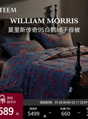 ESTEEM/宜庭莫里斯传奇匈牙利95白进口可水洗鹅绒被【专柜同款】