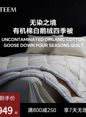 ESTEEM/宜庭无染之境生态有机棉匈牙利95鹅绒羽绒被【专柜同款】