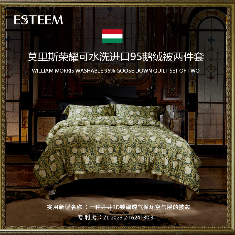 ESTEEM/宜庭莫里斯荣耀可水洗95鹅绒子母被二合一被【专柜同款】