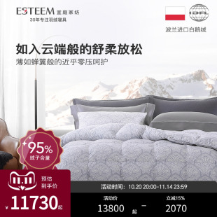 专柜同款 ESTEEM 宜庭梅森春夏暖柔95波兰进口白鹅绒羽绒被芯
