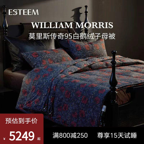 Esteem宜庭匈牙利白鹅绒羽绒被