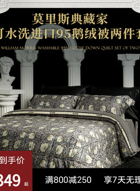 ESTEEM/宜庭莫里斯典藏家匈牙利95可水洗鹅绒子母被【专柜同款】
