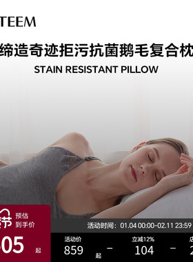 ESTEEM/宜庭五星拒污抗菌鹅毛复合枕枕头枕芯男家用