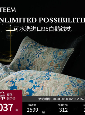 ESTEEM/宜庭菲尔德俄罗斯进口95白鹅绒枕可水洗枕头【专柜同款】