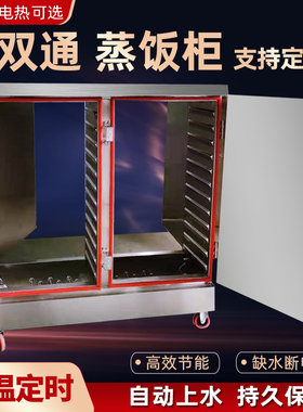 蒸饭柜养殖场双通商用蒸饭车米饭消毒电燃气蒸箱定制猪场前后开门