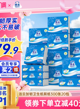 洁云卫生纸厕纸300张20包平板纸草纸加韧厚实批发整箱装家庭囤货